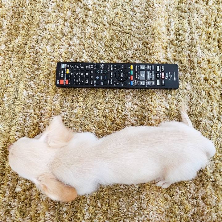 1edf4fee 9149 4fa6 bfbb 9776795a0a91 1591331682862