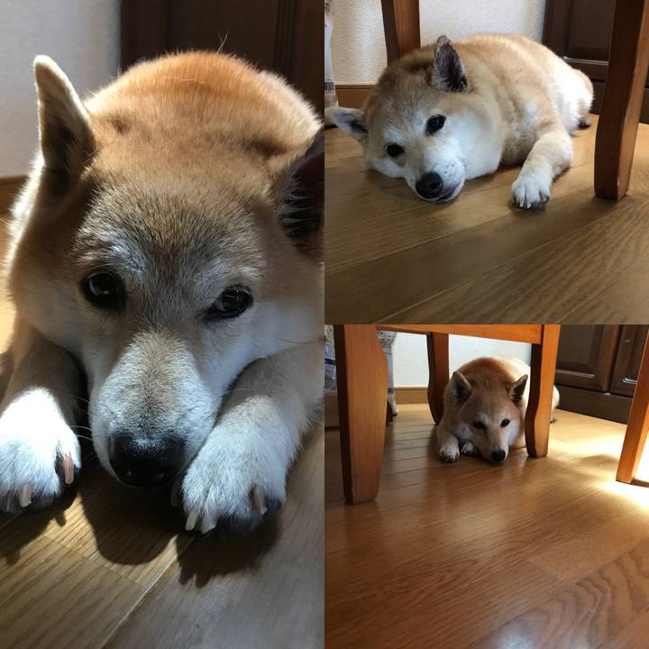 1edf6df6 b2d7 4027 acce 51c06ea256ed 1526567471526