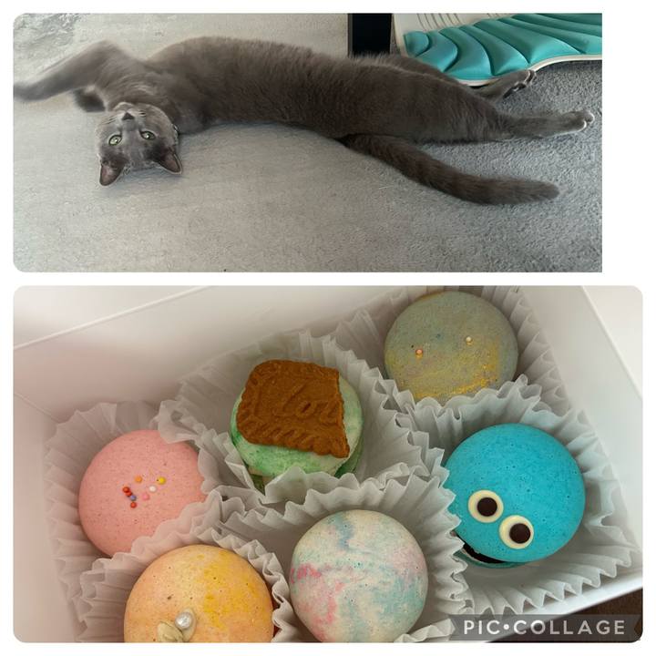 1edf73e7 4c1a 489d bc97 a40a109abf35 1687923581002