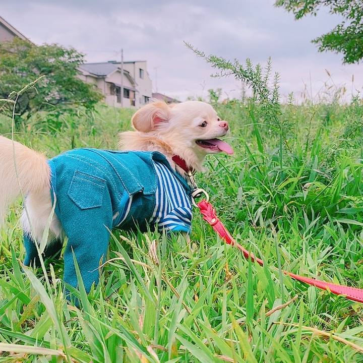 1edfa7fb 1085 418c ade1 fc44d9f604b9 1631869861858