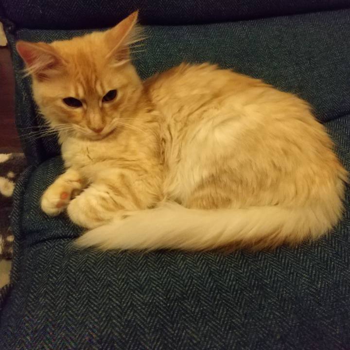 1edfc398 b59f 4642 9c0f 4dc81aaf158f 1611402106583