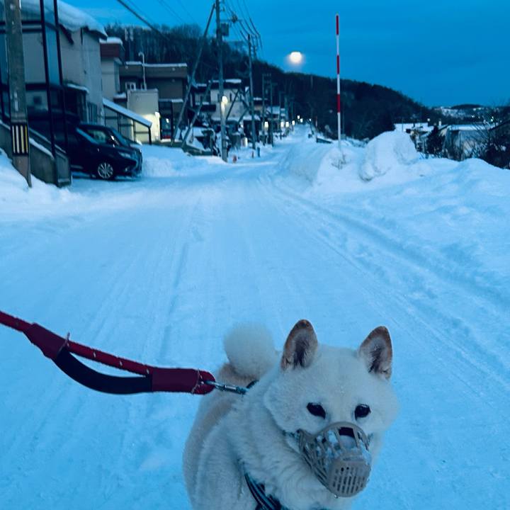 1edfd5f4 9feb 40c1 b753 3e4466727893 1736806014191