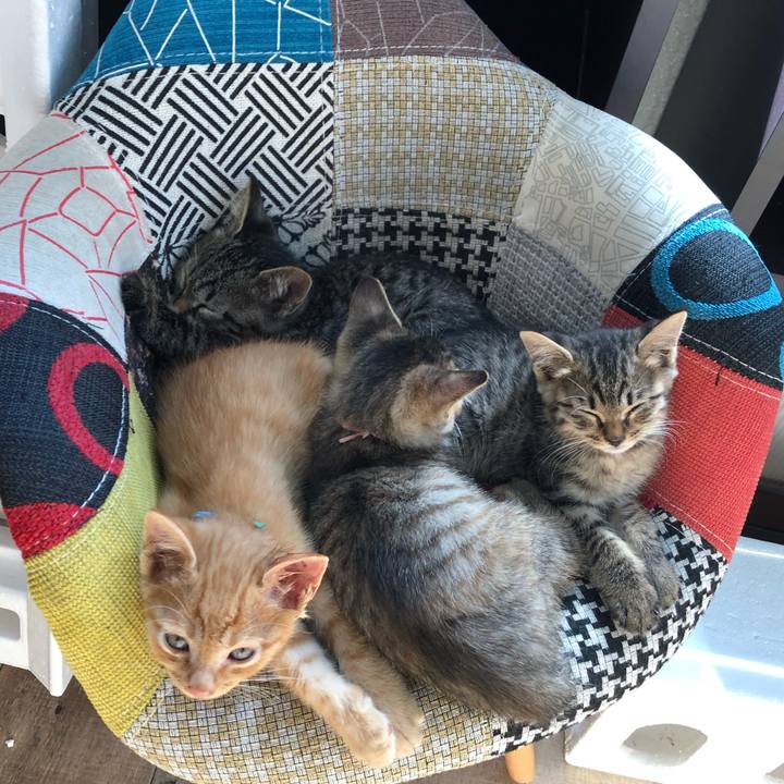 1ee00ae0 6837 43b2 9561 6b6e08574bc6 1601695654942