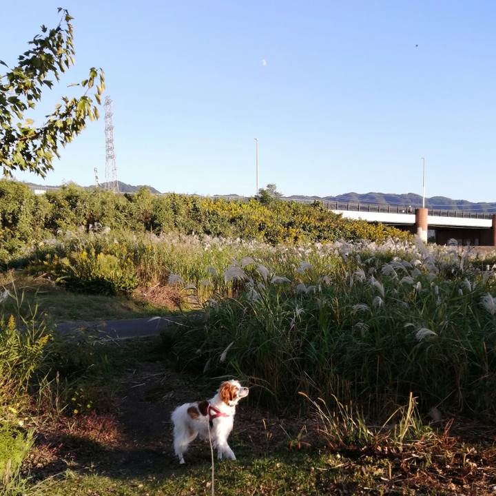 1ee00d66 70c9 4aa3 a535 d6be1617b470 1603623872987