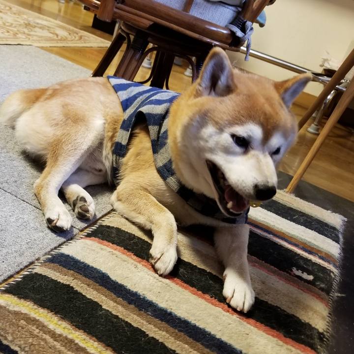 1ee0167c cbb8 4c93 94d5 d48553fcea28 1579562140475