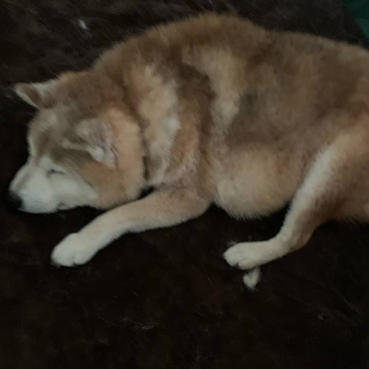 1ee0237f a76c 4863 8a1a 9ac659727a42 1690844573415