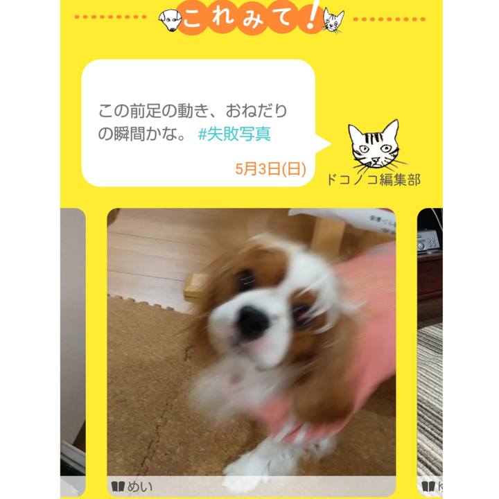 1ee036af 468f 45be 942f 1bc0359167ed 1588474388686