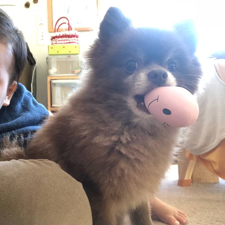 1ee04242 a427 453c adfe ea6066777548 1580000745654