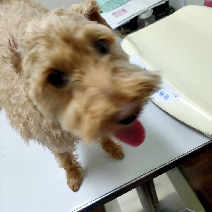 1ee04a9e 29a8 4f5e 92ad 5e8dff34bcab 1588993138806