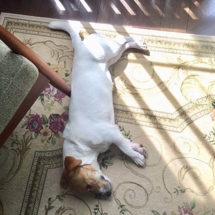 1ee0b1d6 7514 4ff3 9e60 bd08d60b8d8d 1528848667565