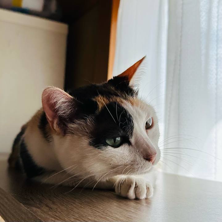 1ee0ce75 be3d 485e b13d 267e9c1c89b4 1695349189596