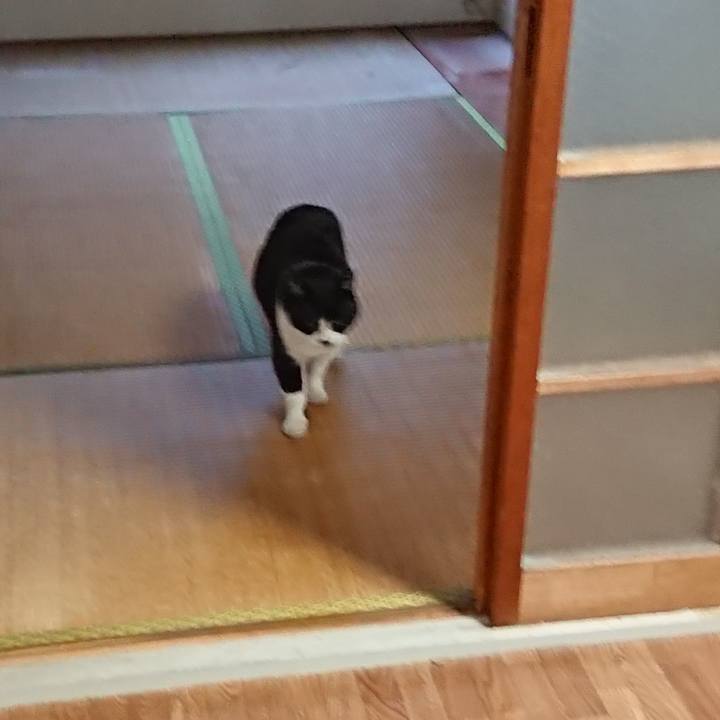 1ee0d79a b574 4ef9 a705 523823b7b144 1677209563450