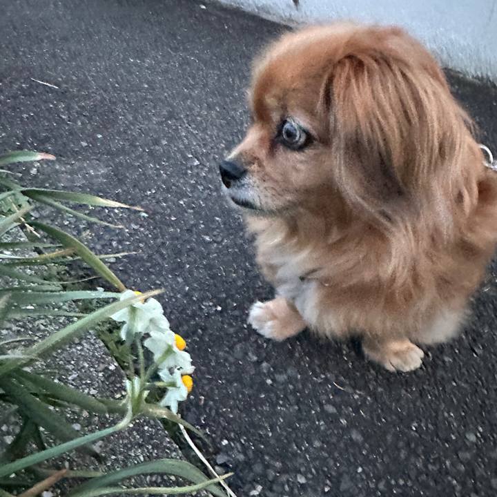 1ee0da3d 2290 4e55 8bf7 5c250c1d56dc 1741900801300