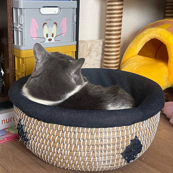 1ee10915 ee77 4371 a7f7 151b9c2dfede 1712974199962