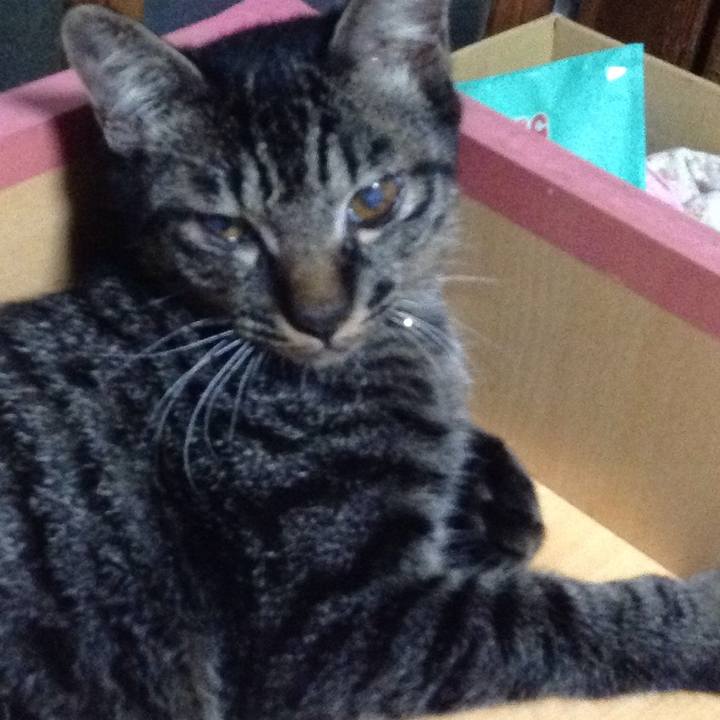 1ee12249 0fc7 4b3c 9fd7 62442fa753f7 1536063054293