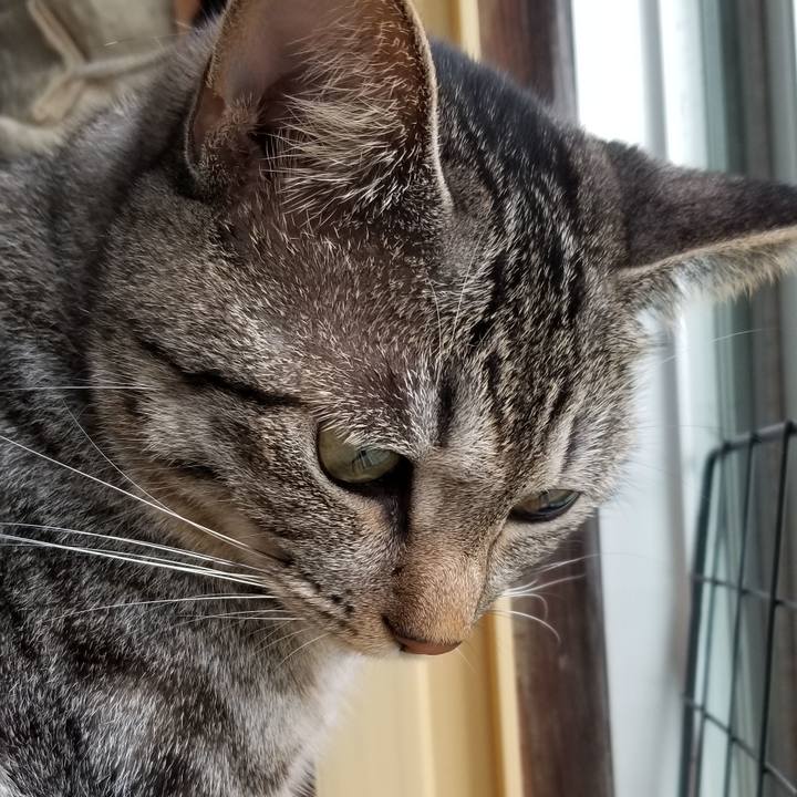 1ee17f85 3c1c 4072 8084 728078740f32 1690908118105