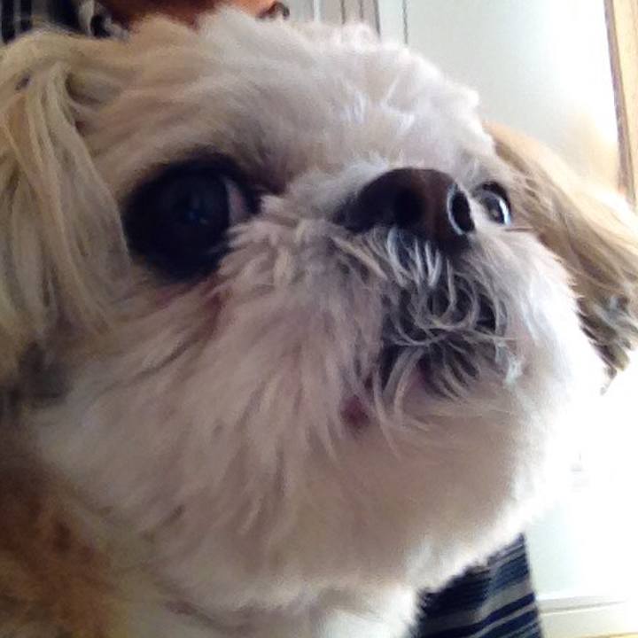 1ee17ffa 1208 4302 8fab 582903e1d379 1516311713682