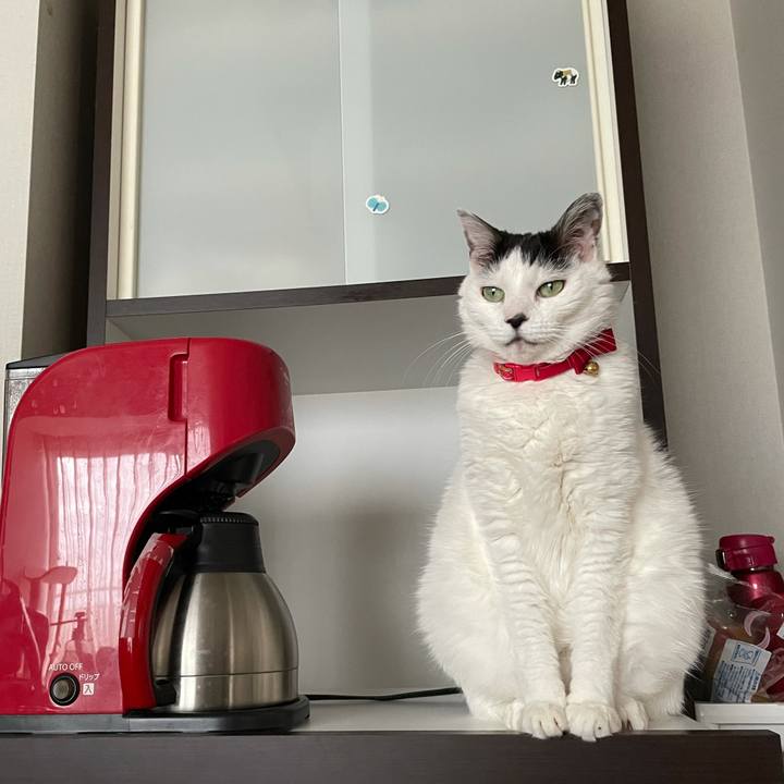 1ee18d4a 1c6b 41f0 9706 2e1453346913 1621211067902