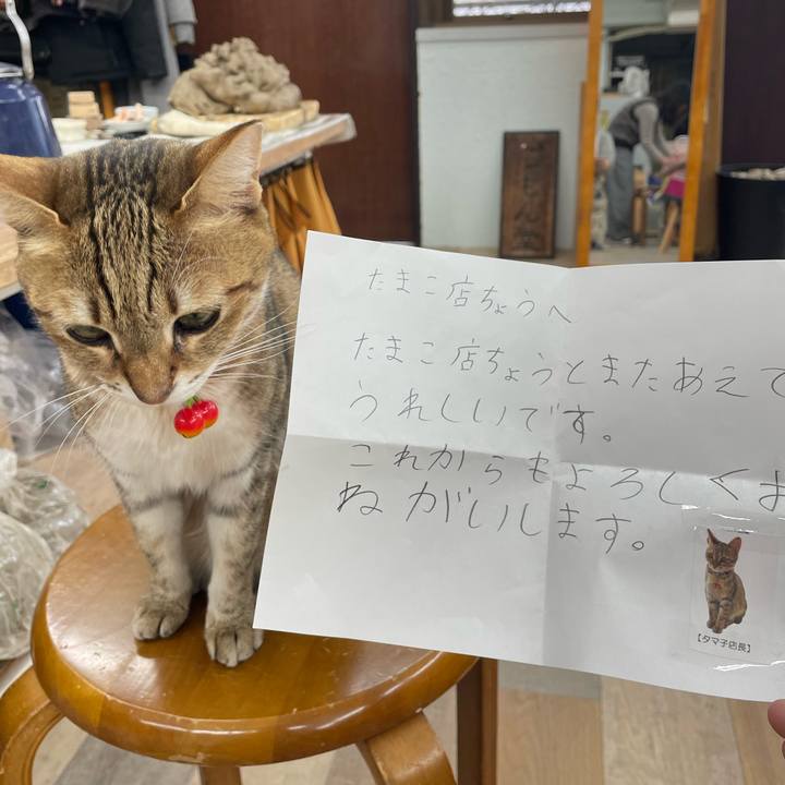 1ee18d89 59b0 4efd 9c11 9e989f693057 1739623364837