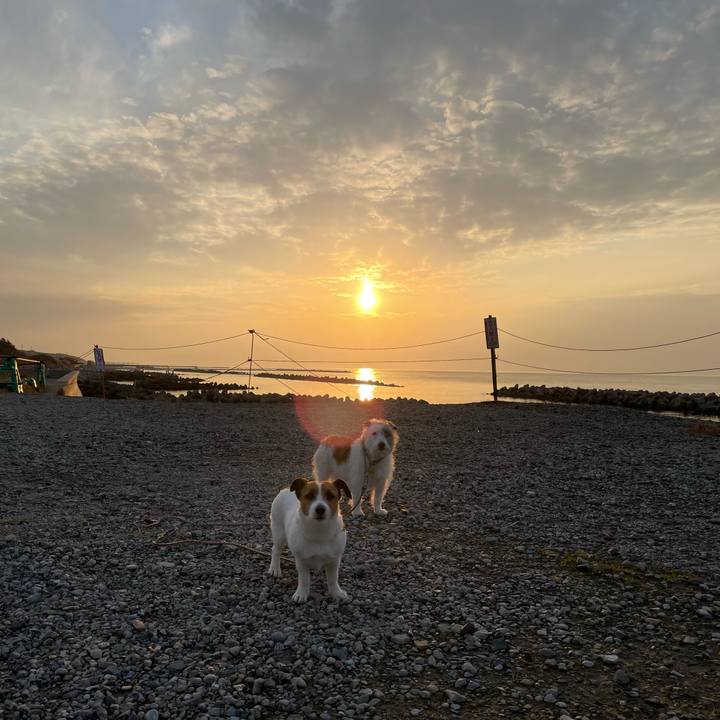 1ee19695 9c10 4577 9618 d939a3104794 1677229060963