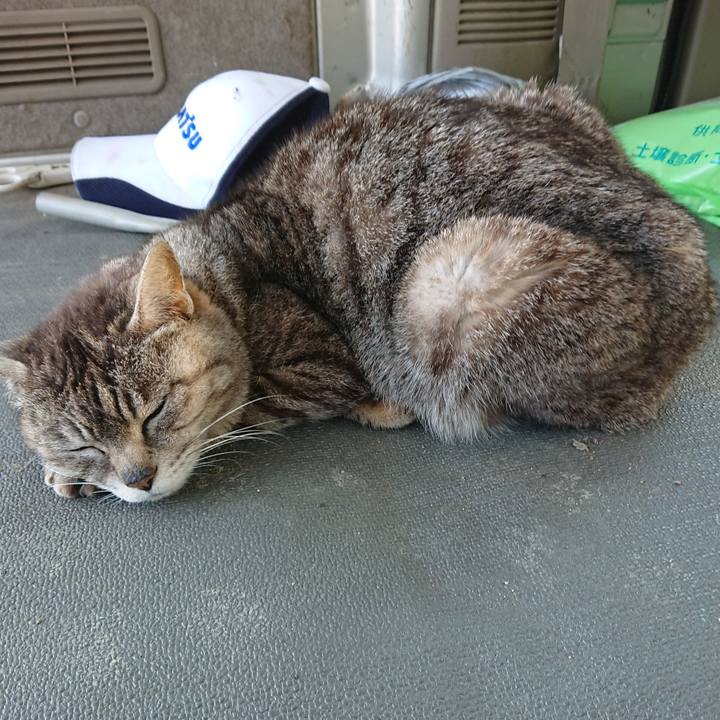 1ee1b7ab 96f6 4e8d 8b8d d31044407b3a 1559372899782