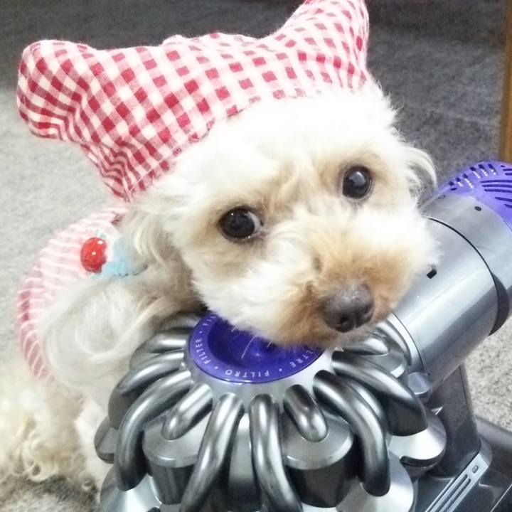 1ee1ea64 d17d 4aa1 bfd6 36a8a5137561 1535617718079