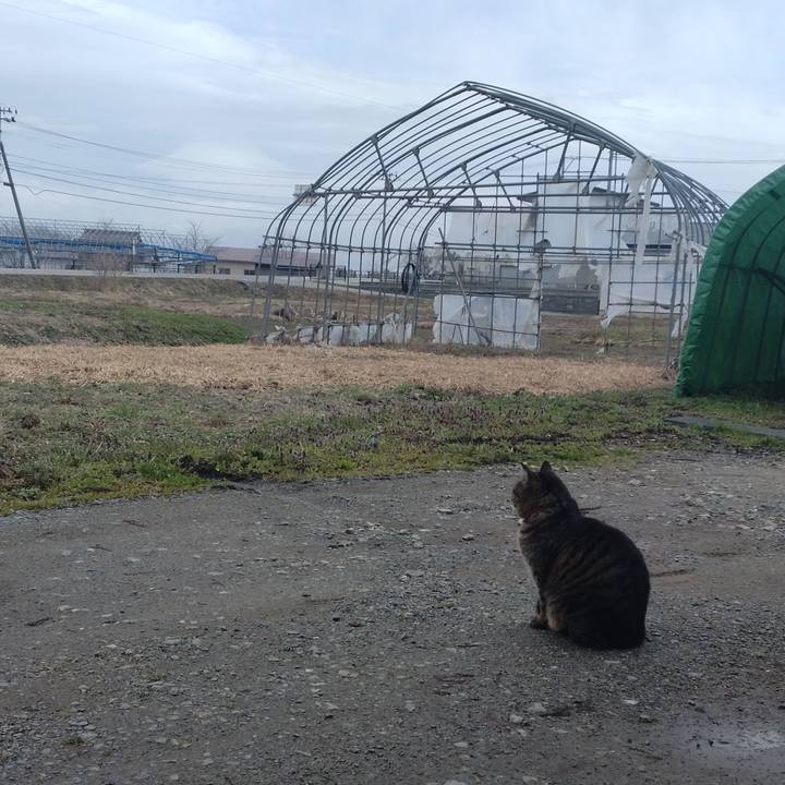 1ee22276 d346 498a 9e67 10ff75fbc5a0 1679643160019