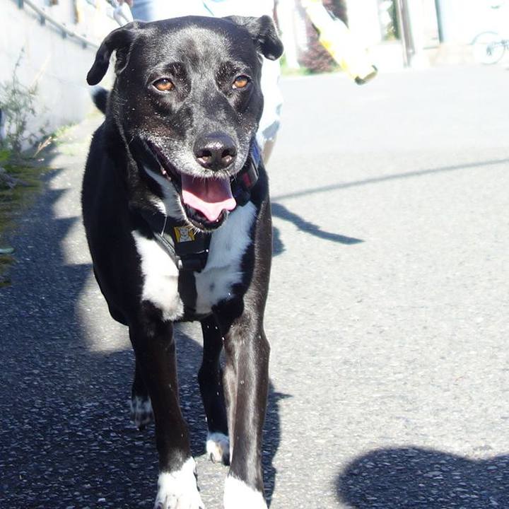 1ee23720 f636 43b1 8dda ddf8bb433e1a 1656115676927