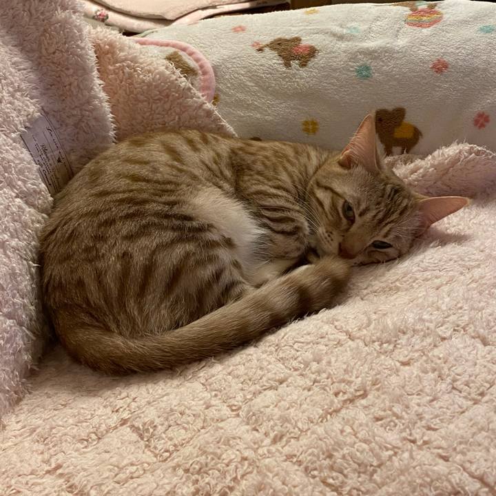 1ee26f04 2c9e 4eec 98da f06c39db9887 1646573390284