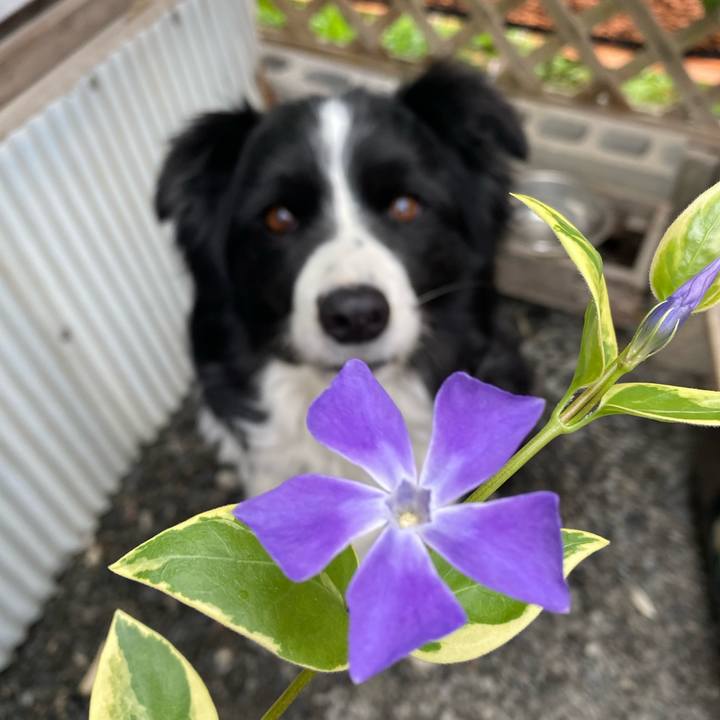 1ee28a54 e808 4db8 b35a a127903cfea5 1615509299195