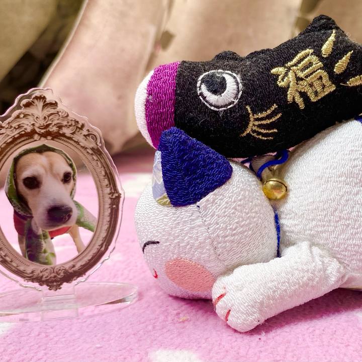 1ee2c346 82c7 4cb8 8772 13f95cabface 1683244151759