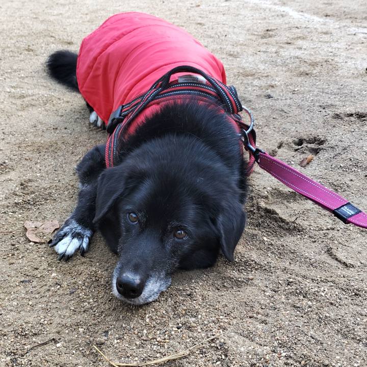 1ee2c8e7 7fe5 416f ae66 8e59d1527ae0 1763342573223