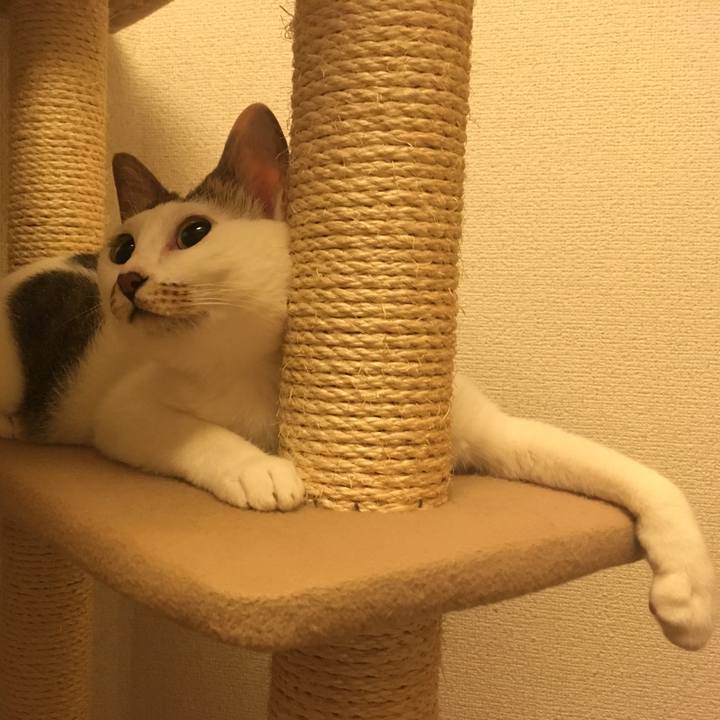 1ee2da13 4823 4716 ac73 7631e990b51a 1531828789550