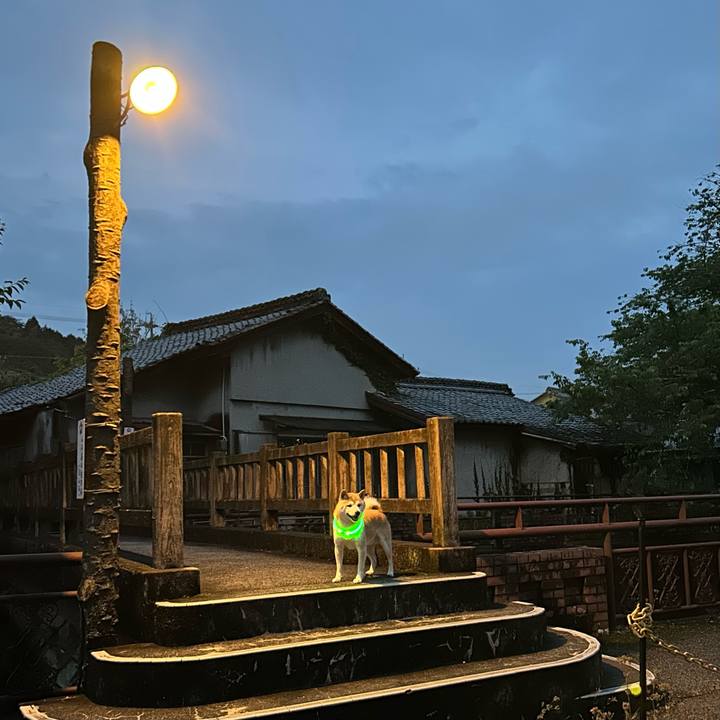 1ee2e2f2 8ac8 4b25 9149 81ca61928045 1718536034063