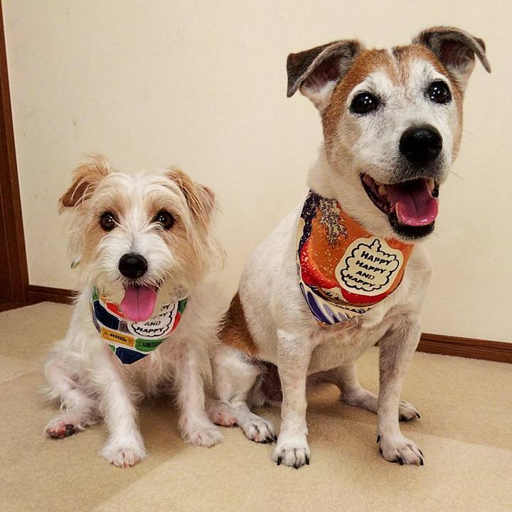 1ee2e901 bab4 4052 b1b5 f0a3e59523da 1563159466061