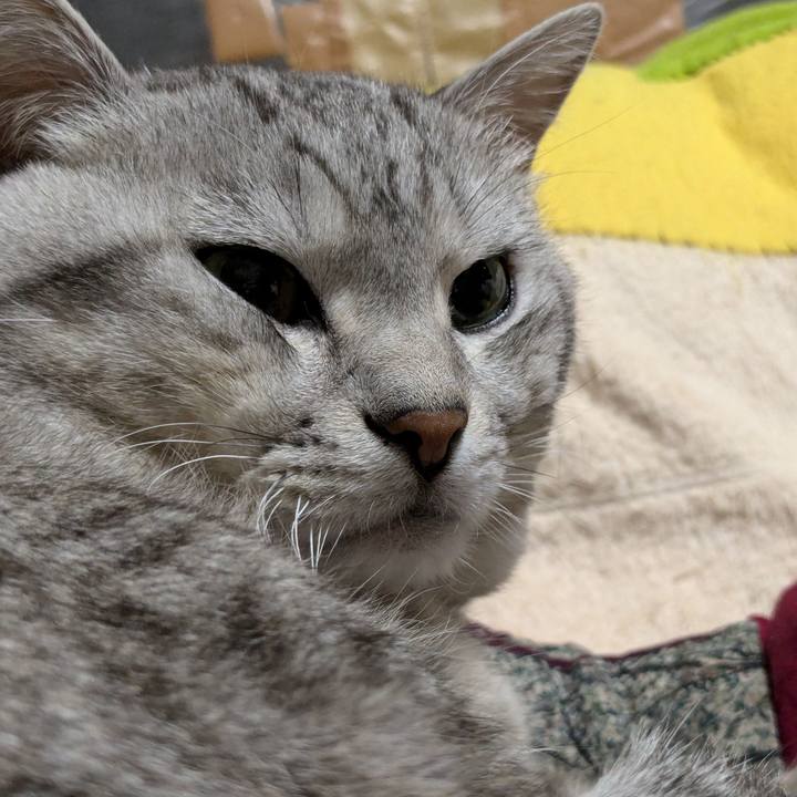 1ee2f34a efd0 48ec 9f58 cb4bf23ba73e 1736925314447