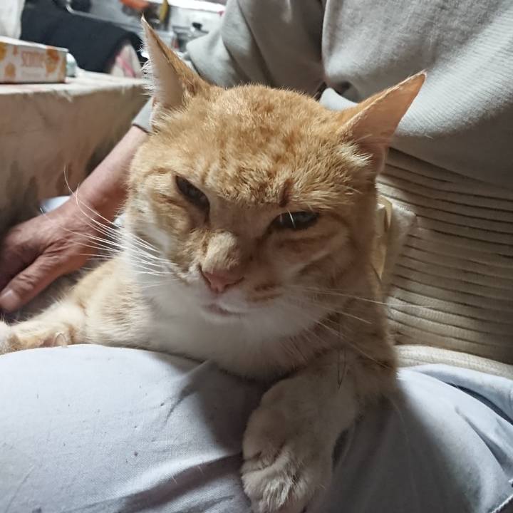 1ee2f358 3624 44da a27f 79bd8c1ab553 1589835988799