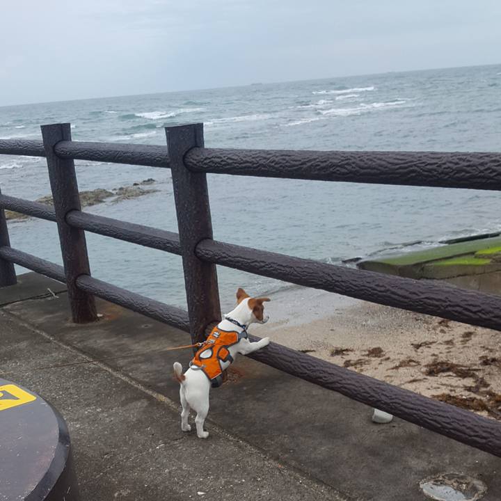 1ee32e24 00ce 4efa b792 50fd1f025e29 1559189678418