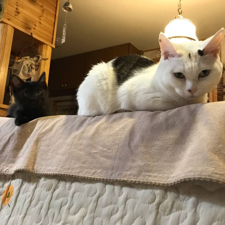 1ee33dbc e348 4eb1 9604 bdcb8648f5d8 1561989488857