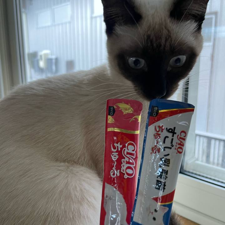 1ee355db c23b 42b2 8ae5 a04b498b3211 1700895670140