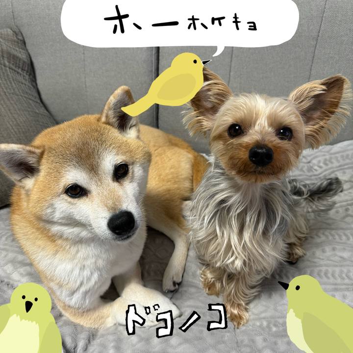 1ee35eb7 e9f5 4fee 9b0a b1284138f04d 1711325553975