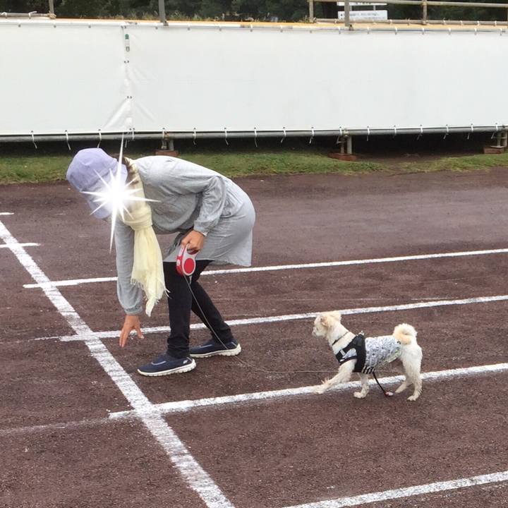 1ee39353 9f71 436c 9a4d 511480d34a83 1507986068913