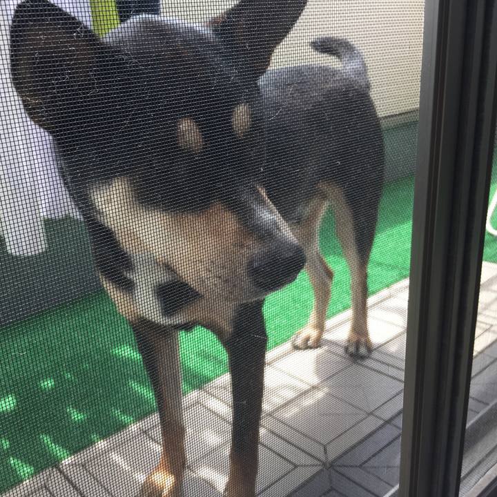 1ee398c8 f413 4875 9b35 8fdcbb240a3f 1527387909233