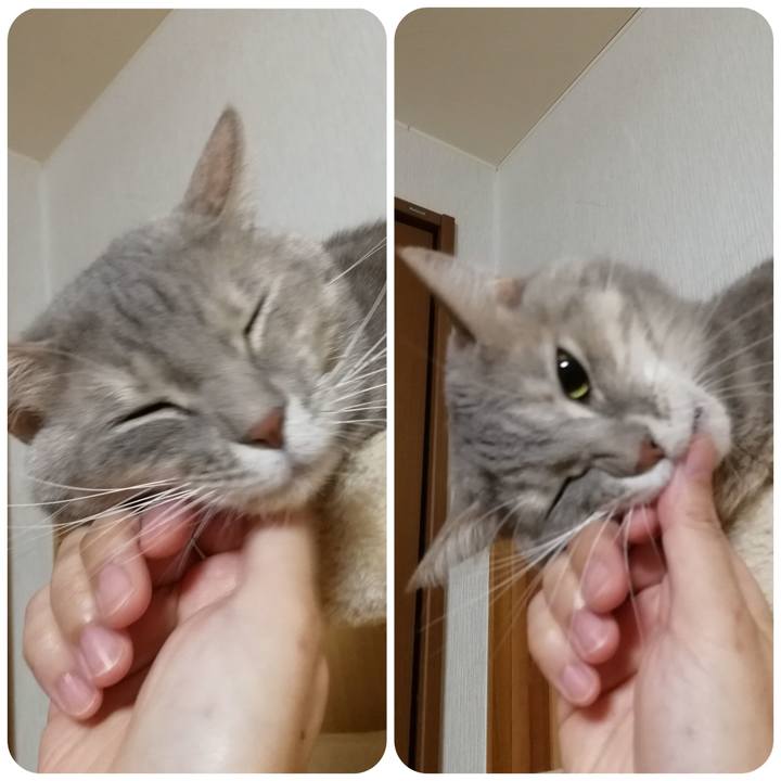 1ee3a26b c618 48fc 9900 919e3cc84573 1546051236852