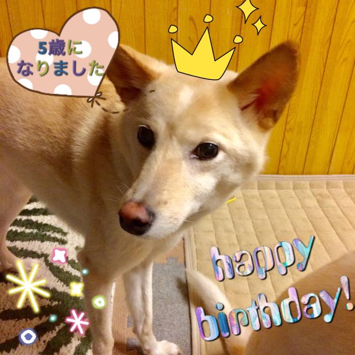 1ee3c5b6 9482 4de3 a419 fb8ac572eea6 1537442141107