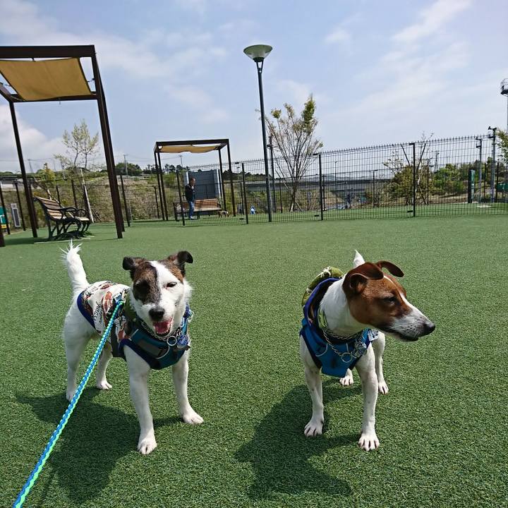 1ee3cb7b 79e9 49c7 9966 41fe8aae8da1 1555725783515