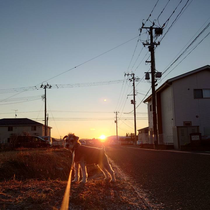 1ee40459 58c2 400e a64b f2cffe2d7546 1766879066781