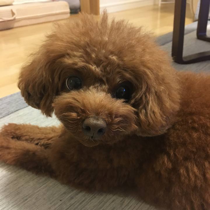 1ee41b67 b093 4b7b 91d9 1389c2e82ed1 1537696094494