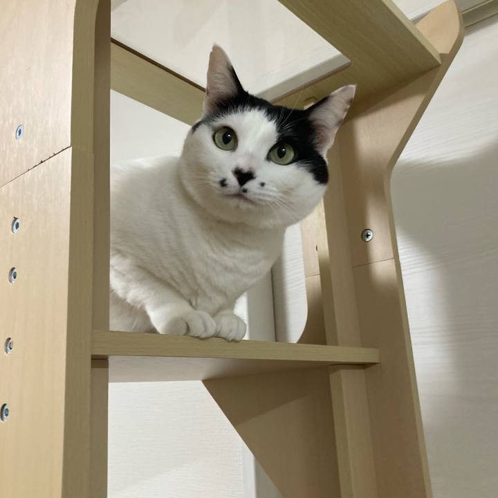 1ee41eaf 96a4 43db b9e5 cc23be1c9a39 1770151957149