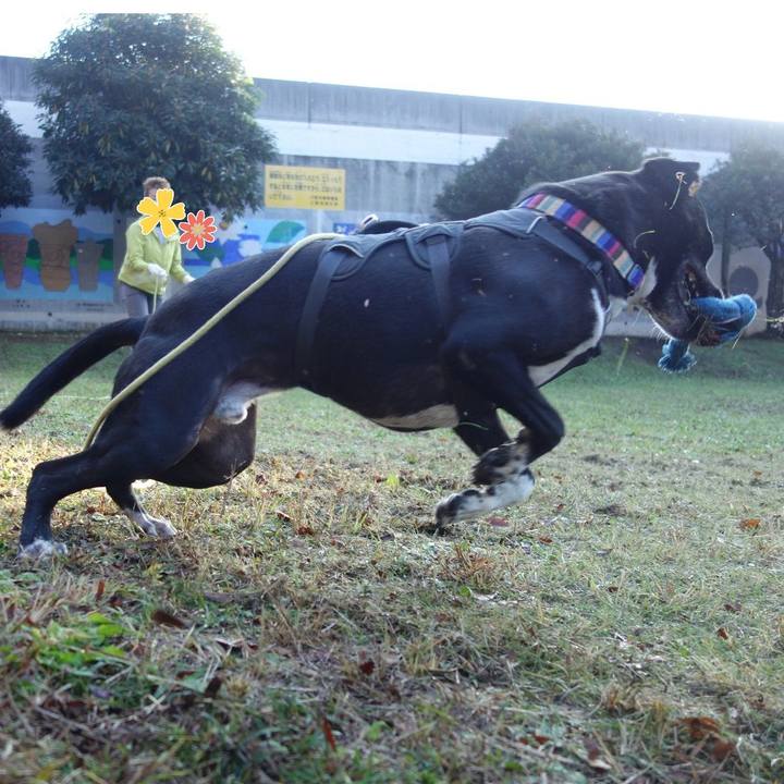 1ee41ebd 9613 4897 99f1 c025f4f41496 1637369449085